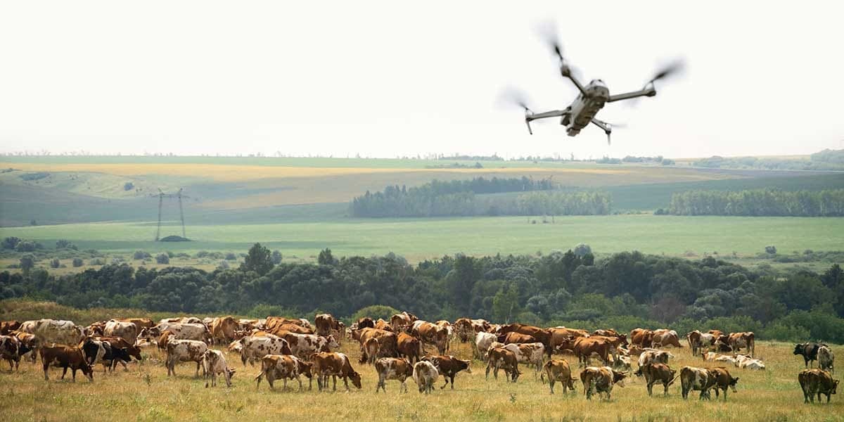 Drone services for Livestock & Ranching - Cover the whole ranch before breakfast.